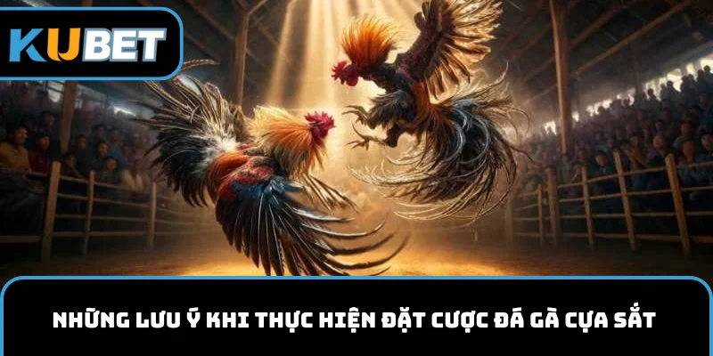Cần lưu ý gì khi chơi đá gà cựa sắt 