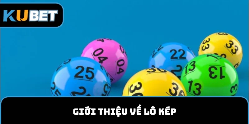 Giới thiệu về lô kép